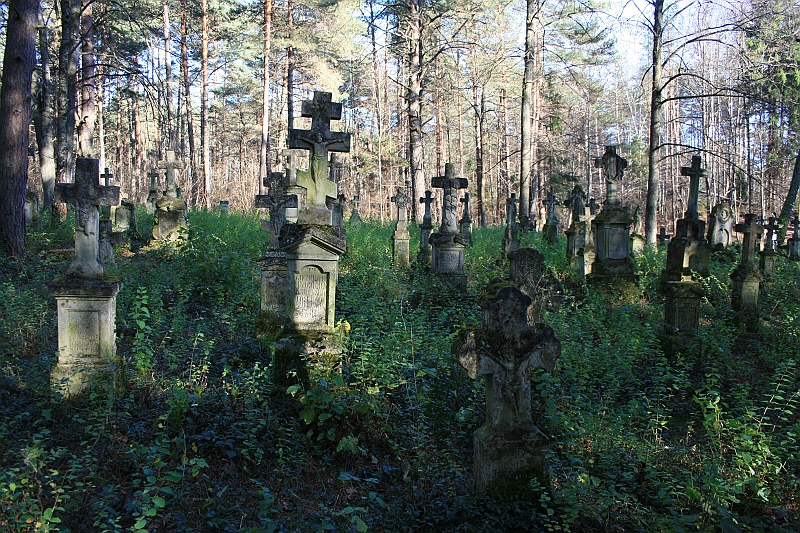 Rostoczek 11.2008 388